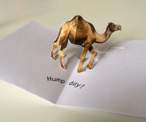Hump day camel birthday