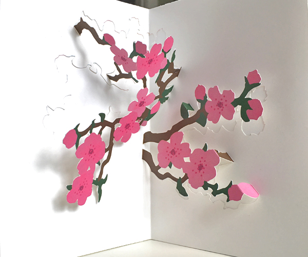 cherry blossoms pop-up card